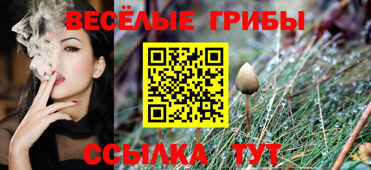 Псилоцибиновые грибы MAGIC MUSHROOMS  Вход с VPN  наркота  Нижнеудинск 